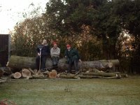 Tree surgeons ready to cut down this tree into manageable chunks.